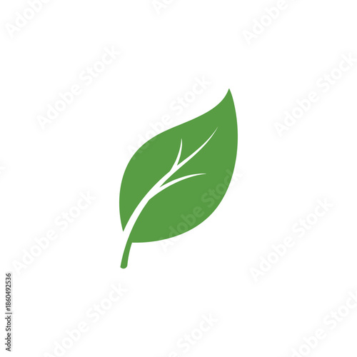 Green leaf icons. Leaves of trees and plants. Leaves icon.Elements design for natural, eco, bio, vegan labels. Vector illustration.