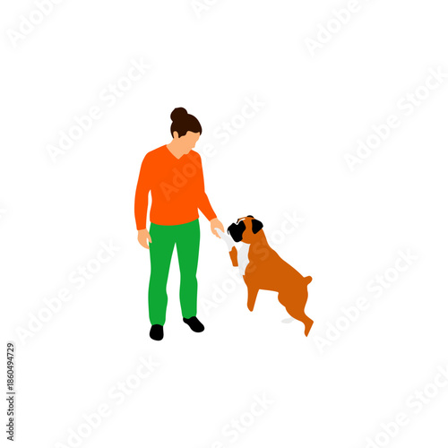 Person training a boxer dog with a treat.