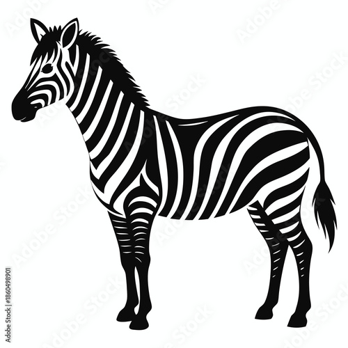 A bold black silhouette of a zebra an iconic safari animal illustration