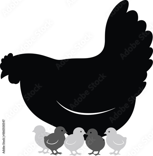Black Silhouette of a Mother Hen with Small Grey Chicks Illustration Isolated on White Background for Farm and Poultry Design
