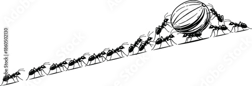 Hand Drawn Black and White Illustration of a Colony of Ants Working Together to Carry Food Up a Steep Slope