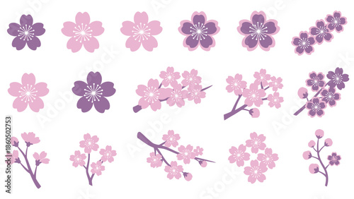 multiple flower and branch variations