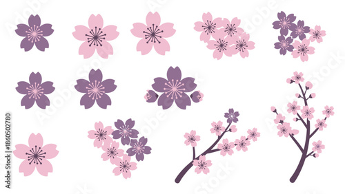 multiple flower and branch variations