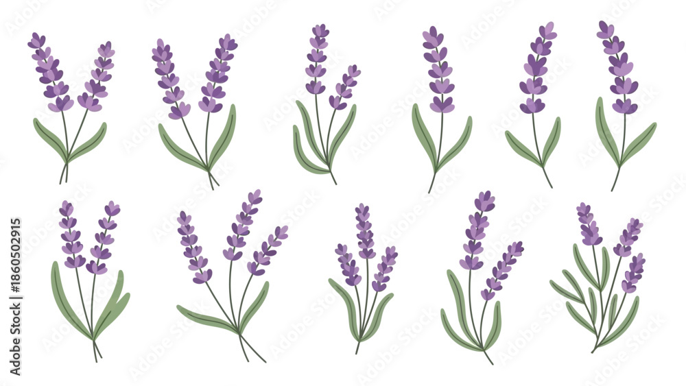 Obraz premium multiple flower and branch variations