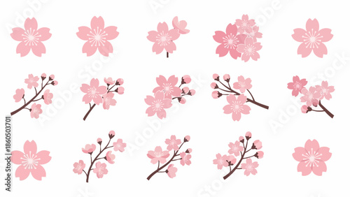 multiple flower and branch variations