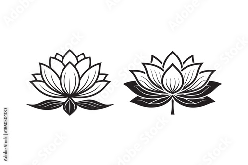 lotus flower isolated on white background