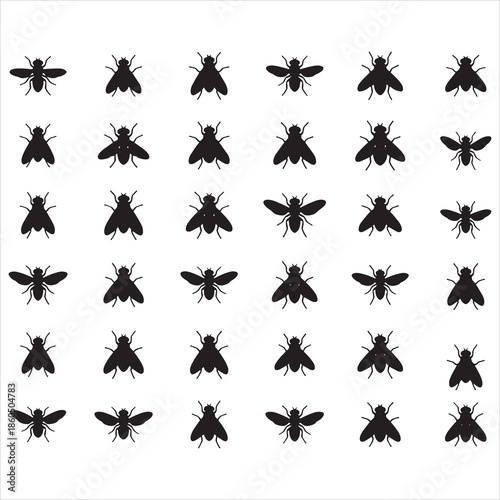 Flies Svg, Flies Silhouette  Bundle