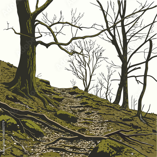 Forest floor with bare trees and uneven natural contours