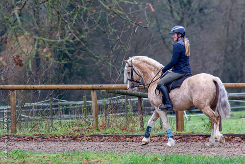 Photos Young female in a ridden horse show competition, Image shows a girl riding her S