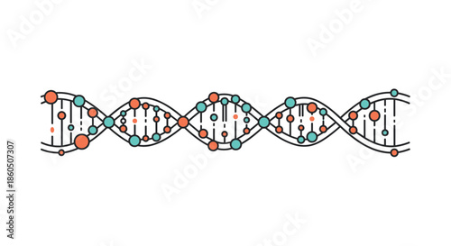 A stylized DNA helix molecule in a clean line art style with colorful dots for science genetics and biotechnology concepts on white.