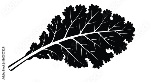 A detailed black silhouette of a single curly kale leaf with intricate veins isolated on a clean white background for healthy food concepts.