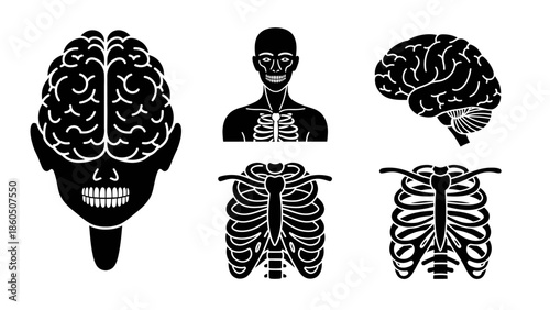 Would you like me to generate an image based on this description for you?