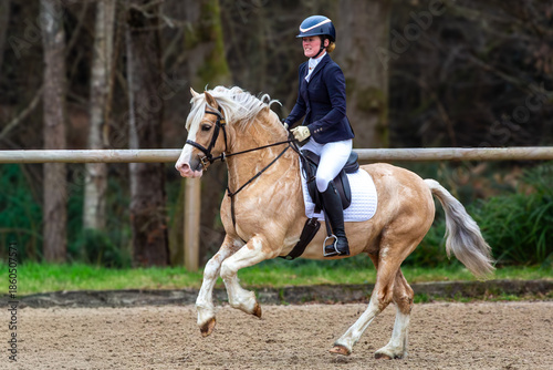 Foto Young female in a ridden horse show competition, Image shows a girl riding her S