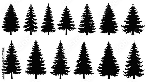 Minimalistic vector set of various evergreen fir and pine trees for nature design