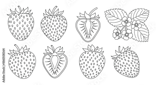 Detailed black and white line art collection of strawberries including whole fruit halves and a blooming plant for coloring pages.