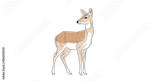 An elegant and gracefully drawn doe looking over her shoulder in a simple and clean line art style with flat color fills.