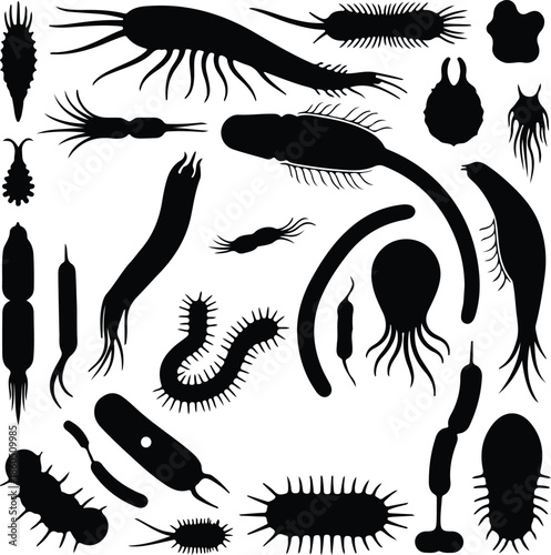 Silhouette Diverse Collection of Microorganisms and Germs Abstract Shapes Microbiology Science Vector Illustration