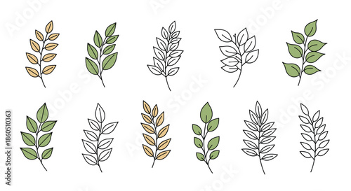 A versatile collection of ten hand-drawn branches with leaves in both outline and colored styles for various botanical designs.