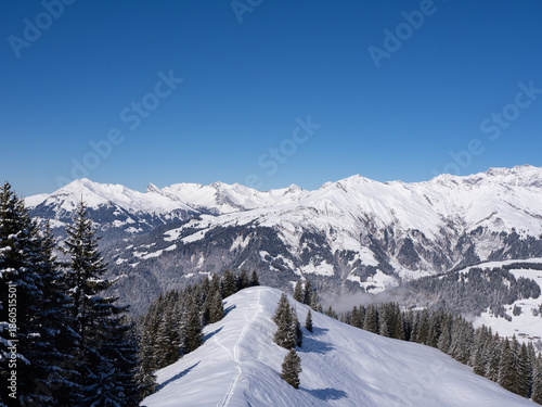 Praettigau, Switzerland - February 15th 2025: View along a snowshoe trail leading through an alpine winter landscape