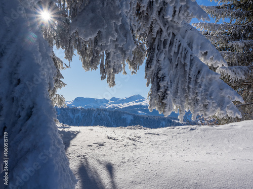 Praettigau, Switzerland - February 15th 2025: Beautiful snow landscape with a beautiful view through a coniferous tree