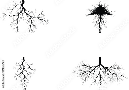 thunder silhouette on white background