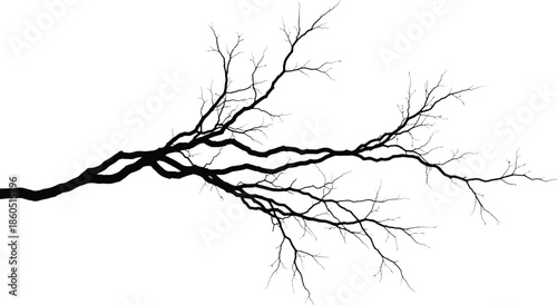 thunder silhouette on white background