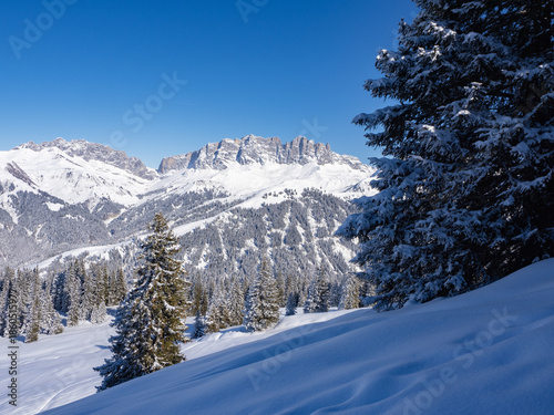Praettigau, Switzerland - February 15th 2025: Beautiful snow landscape with a beautiful view and a coniferous tree