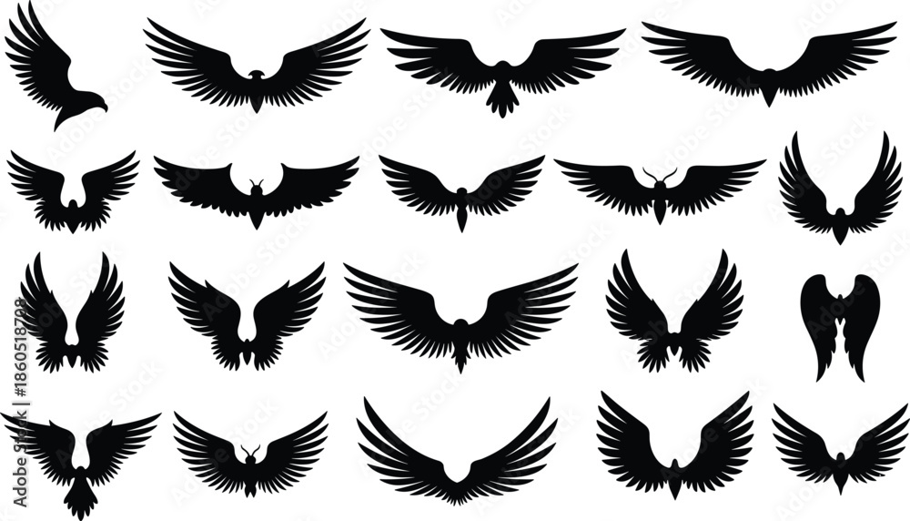 Obraz premium Set of black bird and angel wing silhouettes featuring various feather spread designs for heraldry tattoos logos mascots and decorative graphic design elements