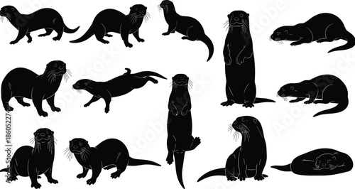 Otter silhouette vector set, aquatic mammal collection, river otter standing and swimming shapes, wildlife animal icons, playful nature graphics for digital design projects.