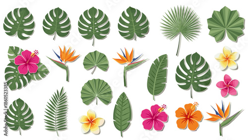 Collection of tropical jungle leaves and vibrant flowers