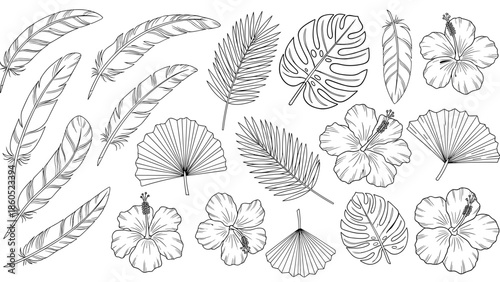 Collection of hand drawn tropical leaves and flowers in black and