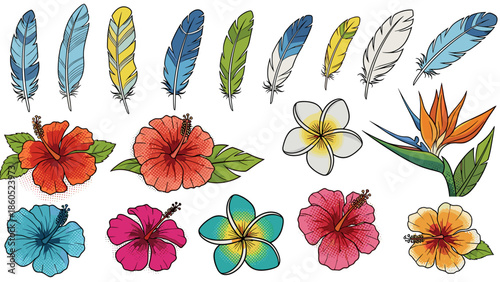 Collection of colorful tropical flowers and decorative feathers