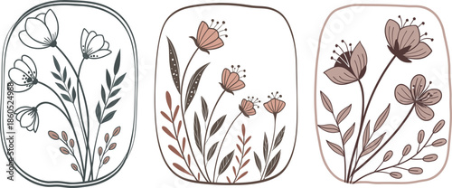 Elegant hand-drawn floral arrangements in distinct frames, perfect for delicate designs