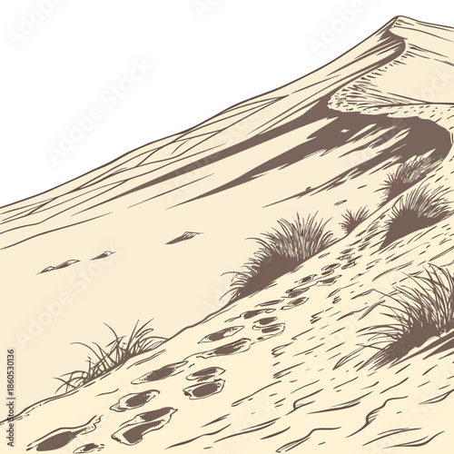 Desert slope with footprints and sparse vegetation