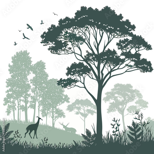 Forest edge with gradual thinning canopy and wildlife