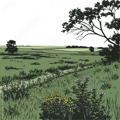 Green prairie landscape with ridge and open plain green landscape