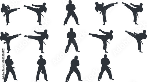Martial arts silhouette, black fighter icons, karate and taekwondo poses, combat stance vector, athletic movement graphic, training design art