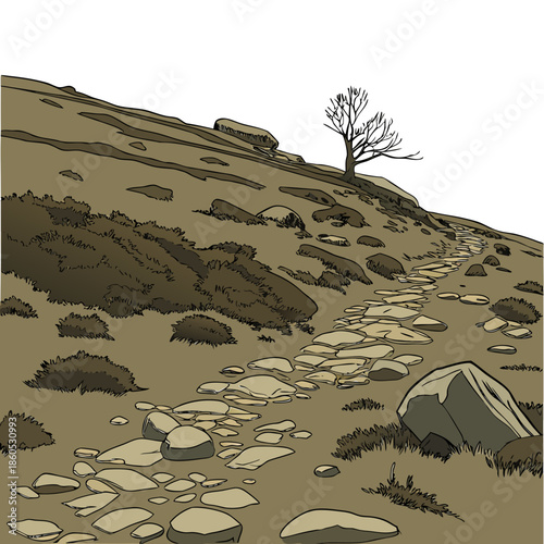 Rocky upland with scattered flat stones and bare tree