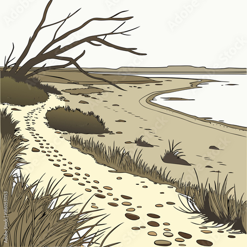 Coastal flatland with tide mark textures realistic 1