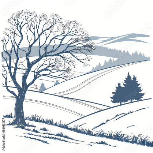 Snow covered rolling hills with bare tree and evergreens