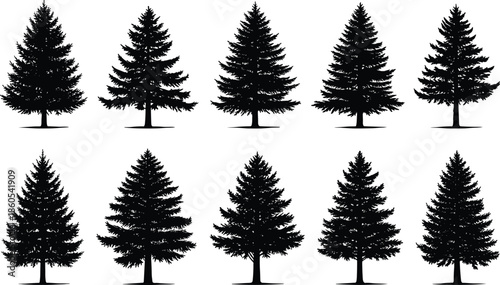 WebBlack and white vector set of ten pine tree silhouettes isolated on a white background for forest and nature design.