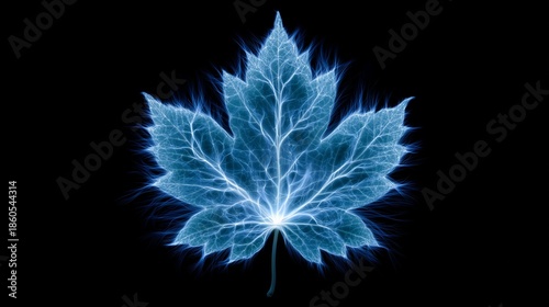 Electric Blue Bioluminescent Maple Leaf