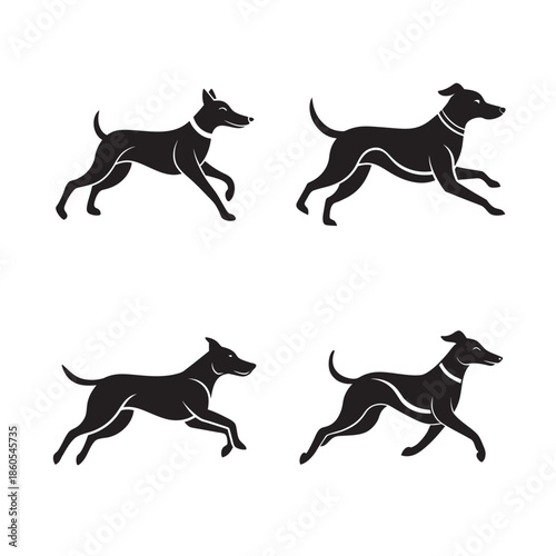 Dog Running Playfully With Energy