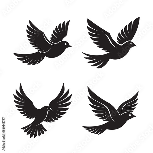 Flying Bird With Wings Spread Wide