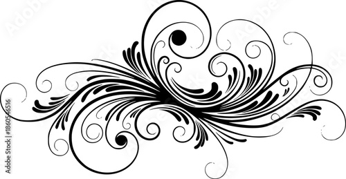 lack and white abstract swirls and flourishes, detailed vector art
