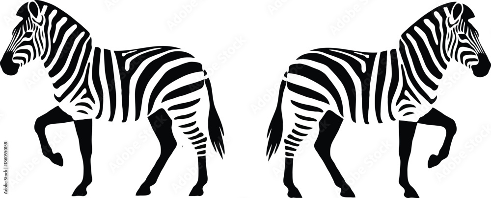 Fototapeta premium Two zebras standing side by side in a black and white illustration