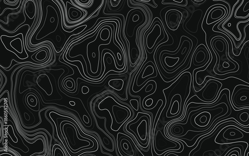 Topographic map contours vector illustration