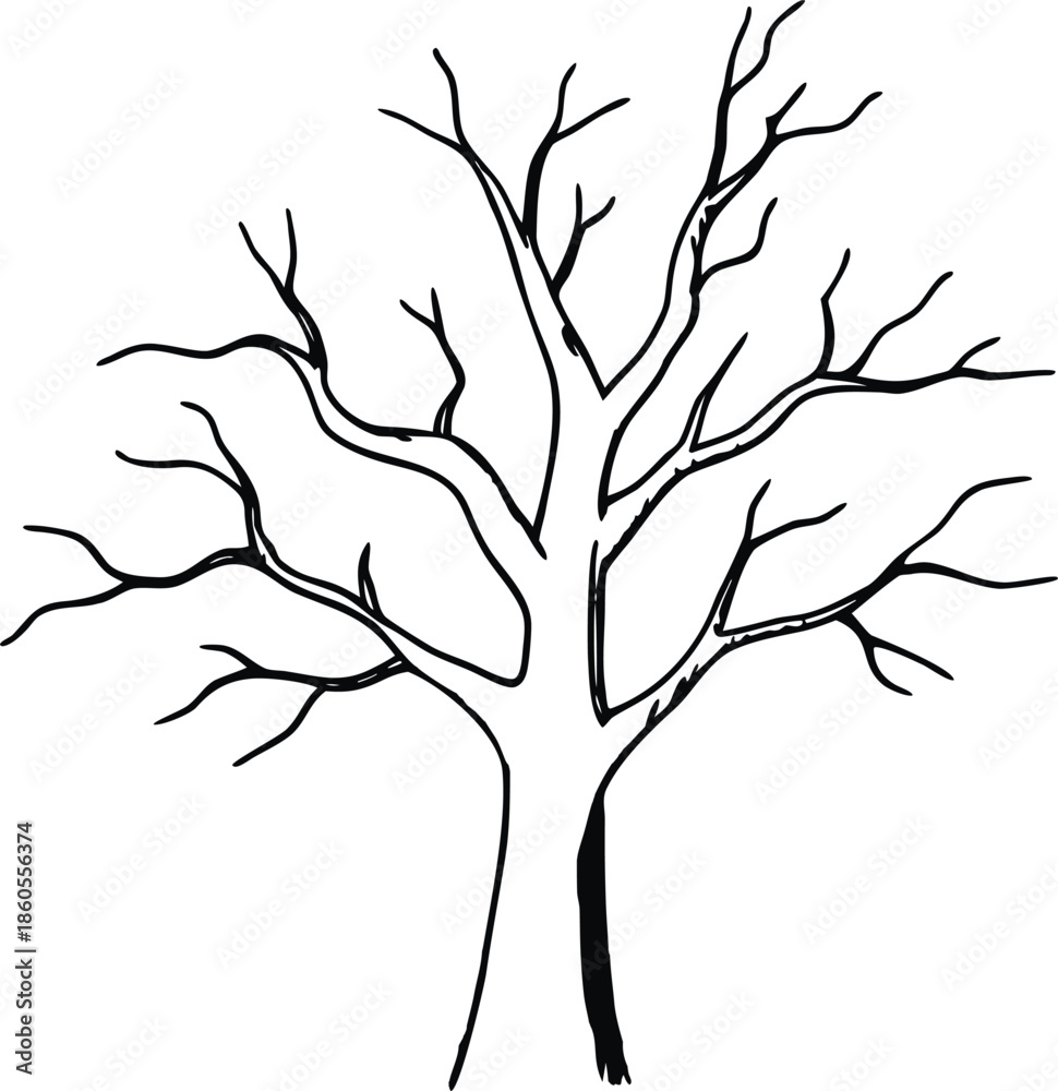 Fototapeta premium Hand Drawn Black Outline of a Bare Tree Silhouette drawing