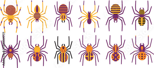 Colorful spider collection featuring various species with striped and dotted patterns in purple orange and yellow for Halloween decor and nature vector.