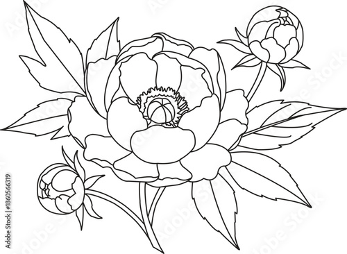 Elegant black and white line art illustration of a blooming peony flower with delicate buds and leaves